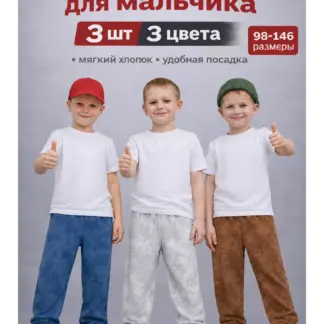 Штаны для мальчика 3 шт